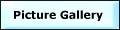 Picture Gallery
